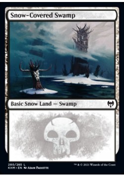 Snow-Covered Swamp