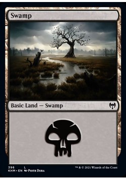 Swamp