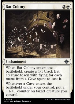 Bat Colony