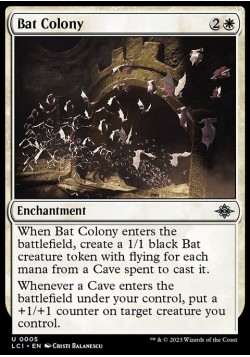 Bat Colony