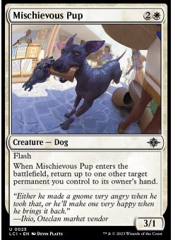 Mischievous Pup
