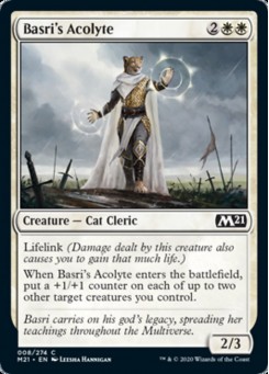 Basri's Acolyte