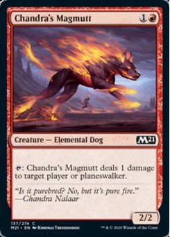 Chandra's Magmutt