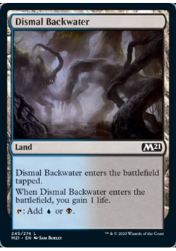 Dismal Backwater