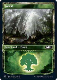 Forest (313)