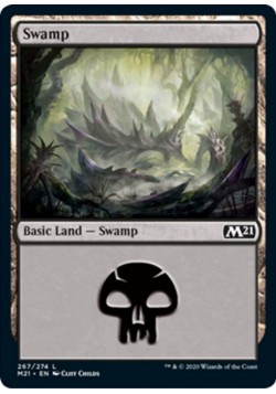 Swamp