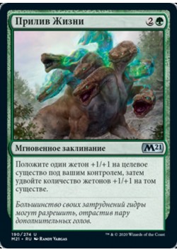 Прилив Жизни