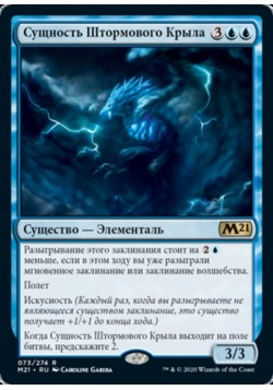 Сущность Штормового Крыла