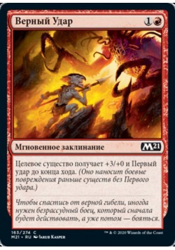 Верный Удар