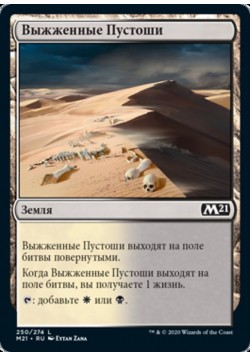 Выжженные Пустоши