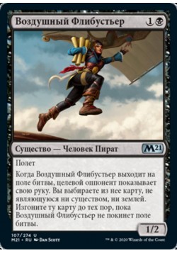 Воздушный Флибустьер