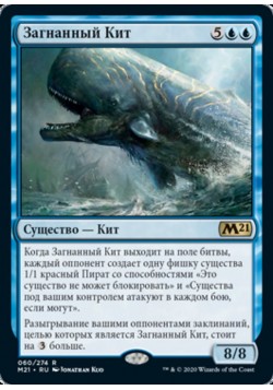 Загнанный Кит