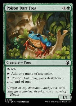 Poison Dart Frog