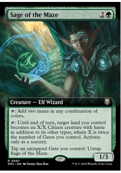 Sage of the Maze