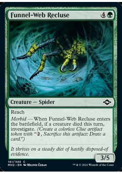Funnel-Web Recluse