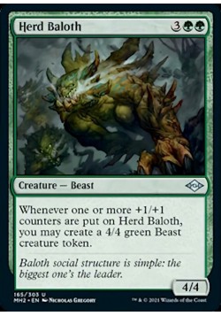Herd Baloth