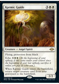 Karmic Guide