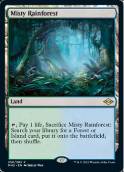 Misty Rainforest