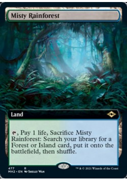 Misty Rainforest