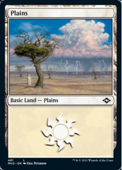 Plains