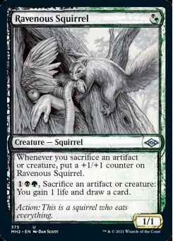 Ravenous Squirrel