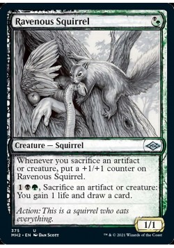 Ravenous Squirrel