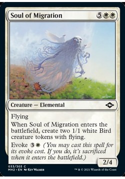 Soul of Migration