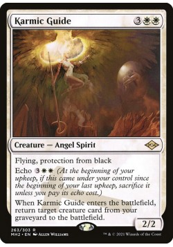 Karmic Guide