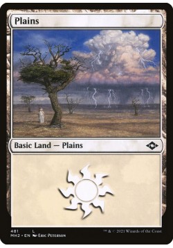 Plains