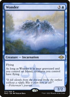 Wonder