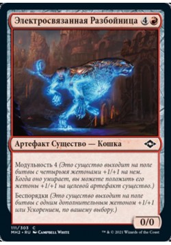 Электросвязанная Разбойница