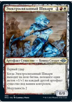 Электросвязанный Шикари