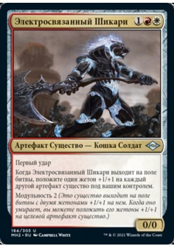 Электросвязанный Шикари