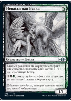 Ненасытная Белка