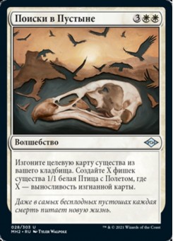 Поиски в Пустыне