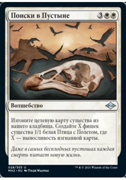 Поиски в Пустыне