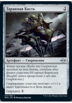 Таранная Кость