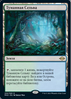Туманная Сельва