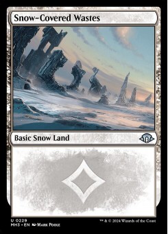 Snow-Covered Wastes