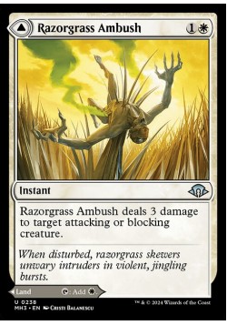 Razorgrass Ambush // Razorgrass Field