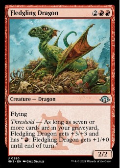Fledgling Dragon