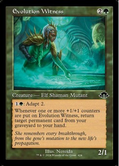 Evolution Witness