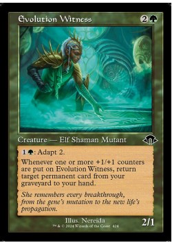 Evolution Witness