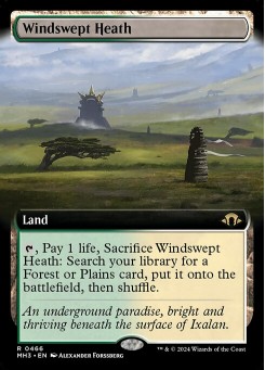 Windswept Heath