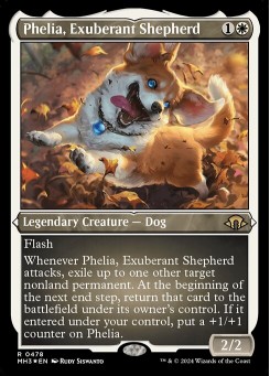 Phelia, Exuberant Shepherd