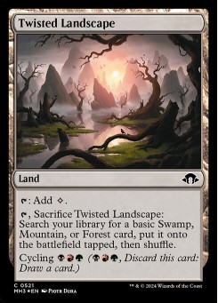Twisted Landscape