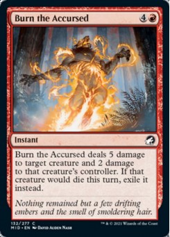 Burn the Accursed