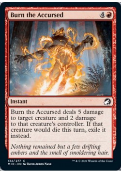 Burn the Accursed
