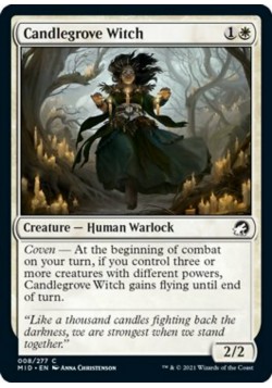 Candlegrove Witch