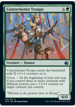 Contortionist Troupe